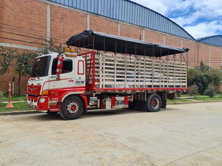 WhatsApp Image 2025-09-17 at 1.59.52 PM (1)